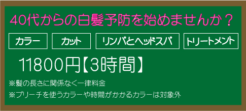 奈良県奈良市|リンパマッサージ、白髪添染め、40代からの白髪予防